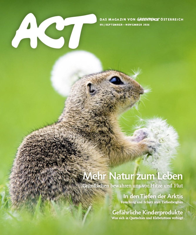 ACT 2026-03 image